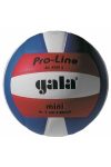 GALA Pro Line Mini libero röplabda, 4-es röplabda