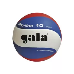   Gala ProLine 10 paneles verseny röplabda nemzeti színű piros-fehér-zöld színű panelekkel