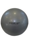 Capetan® Classic | Gimnasztikai labda (65cm, ezüst színben)