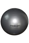 Capetan® |Gimnasztikai labda (durranásmentes, 65cm, ezüst színű)