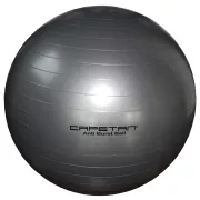 Capetan® |Gimnasztikai labda (durranásmentes, 75cm, ezüst színű) Capetan® |Gimnasztikai labda (durranásmentes, 75cm, ezüst színű)